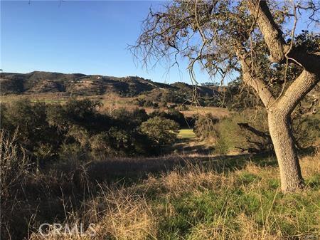 MLS #SW25115841 image #7