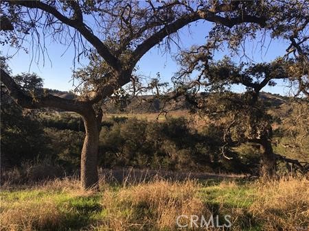 MLS #SW25115841 image #8