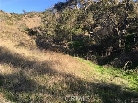 MLS #SW25115841 image #9