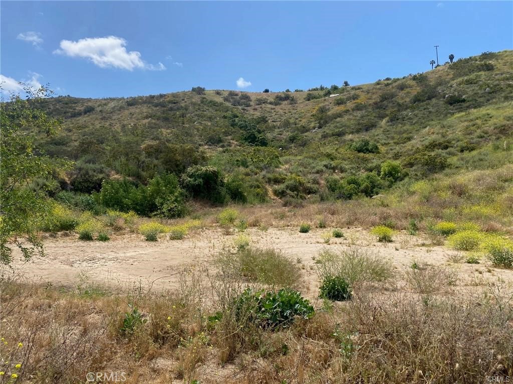 MLS #SW25117702 image #10