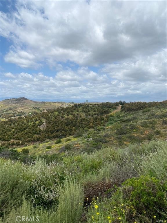 MLS #SW25117702 image #2