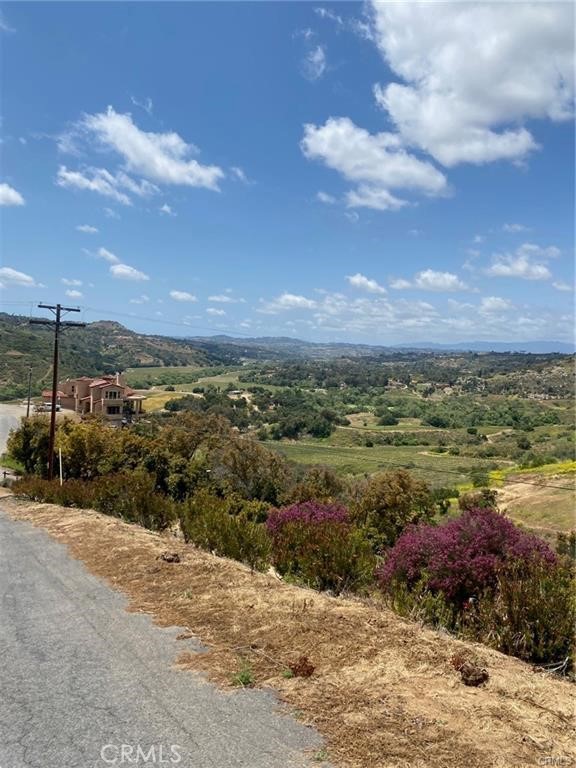 MLS #SW25117702 image #5