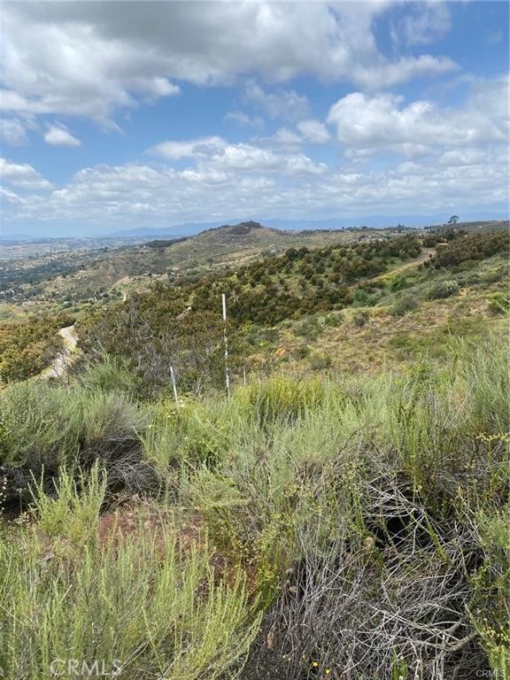 MLS #SW25117702 image #6