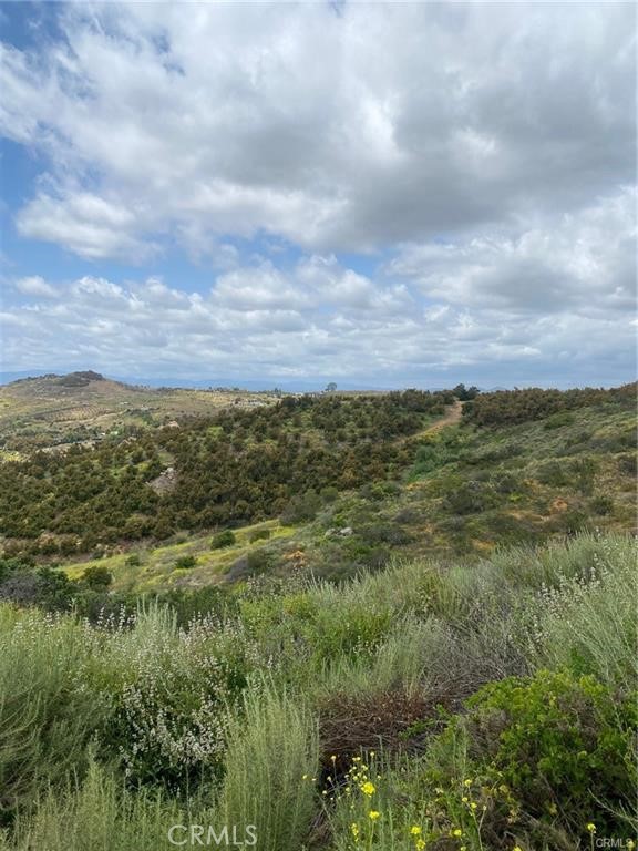 MLS #SW25117703 image #2