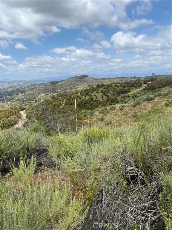 MLS #SW25117703 image #4