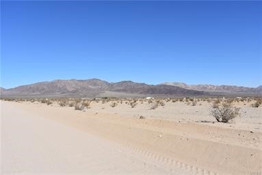 MLS #SW25119622 image #6