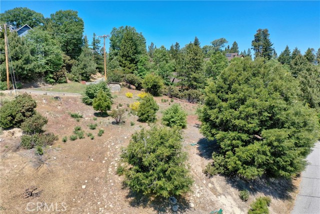 MLS #SW25122805 image #11