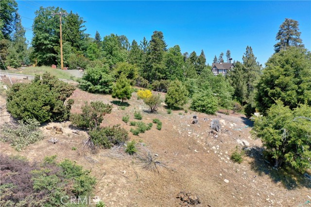 MLS #SW25122805 image #13