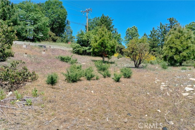 MLS #SW25122805 image #16