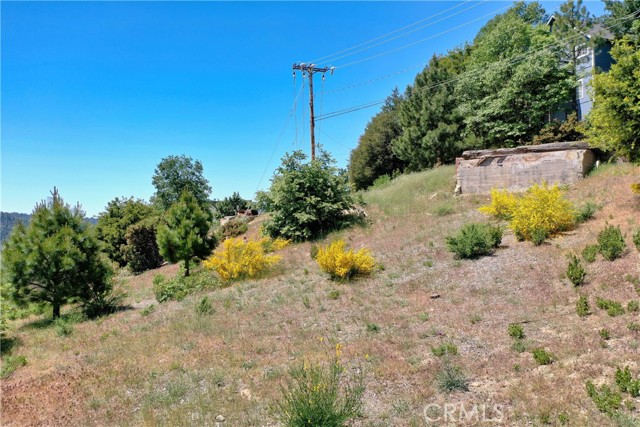 MLS #SW25122805 image #6