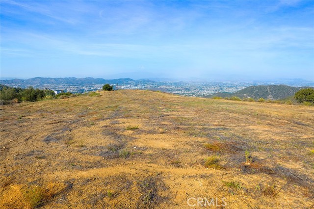 MLS #SW25126682 image #23