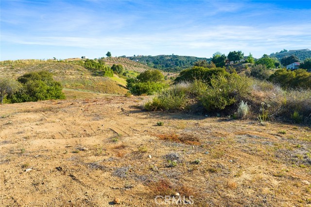 MLS #SW25126682 image #25