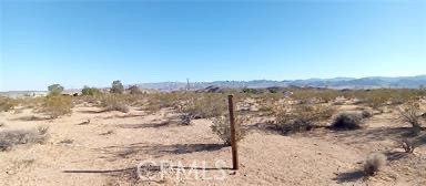 MLS #SW25126766 image #2