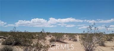 MLS #SW25126766 image #3