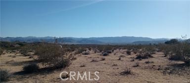 MLS #SW25126766 image #4