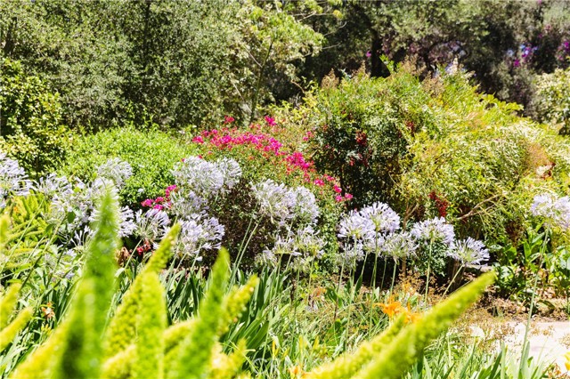 MLS #SW25127037 image #56