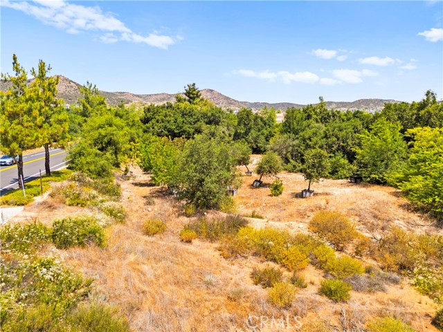 MLS #SW25127083 image #10