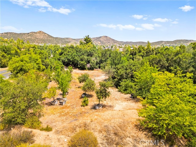 MLS #SW25127083 image #11