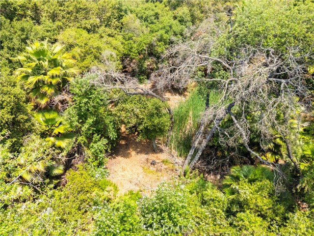 MLS #SW25127083 image #12