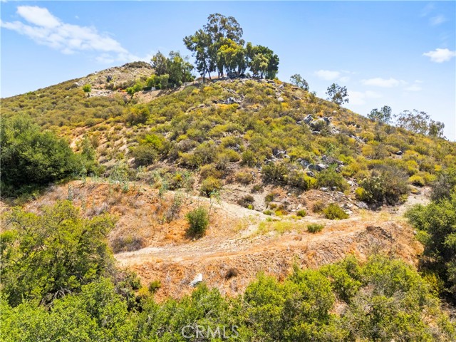 MLS #SW25127083 image #13