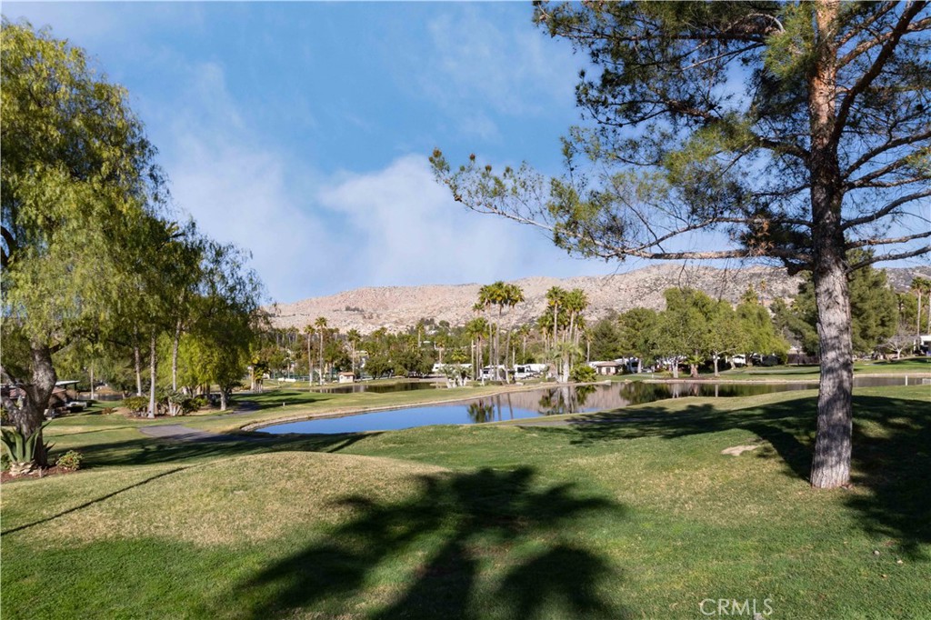 MLS #SW25134024 image #11