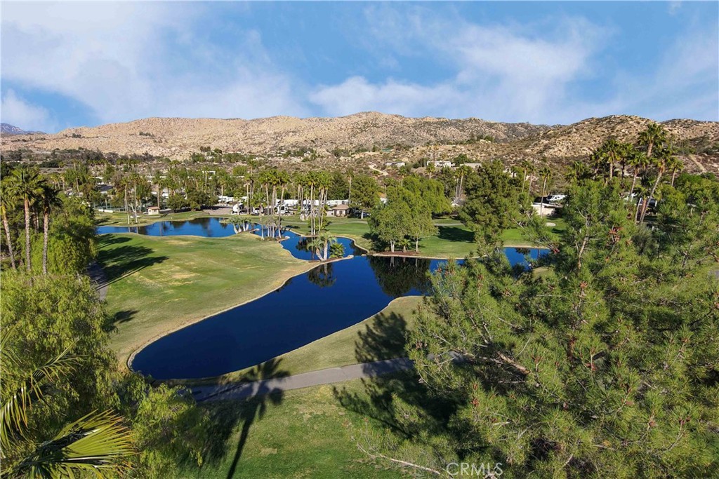 MLS #SW25134024 image #4