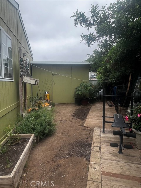 MLS #SW25136594 image #5