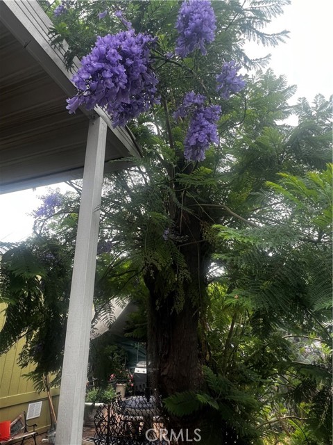 MLS #SW25136594 image #8