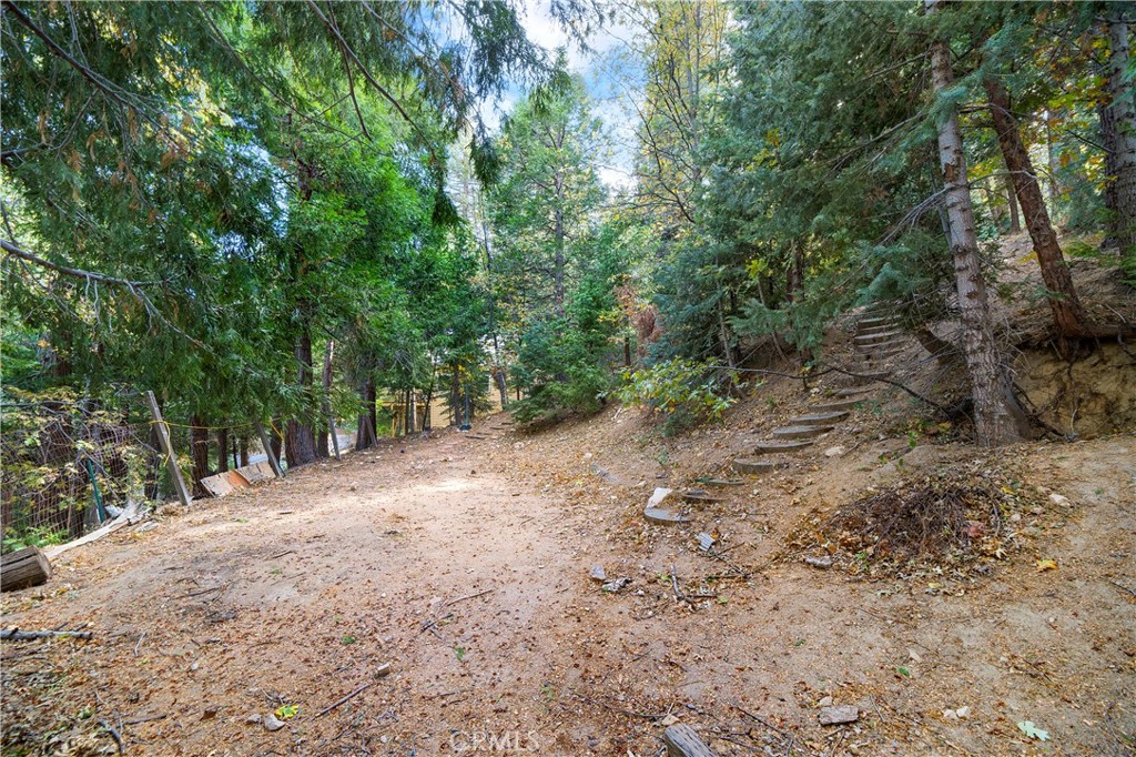 MLS #SW25136757 image #25