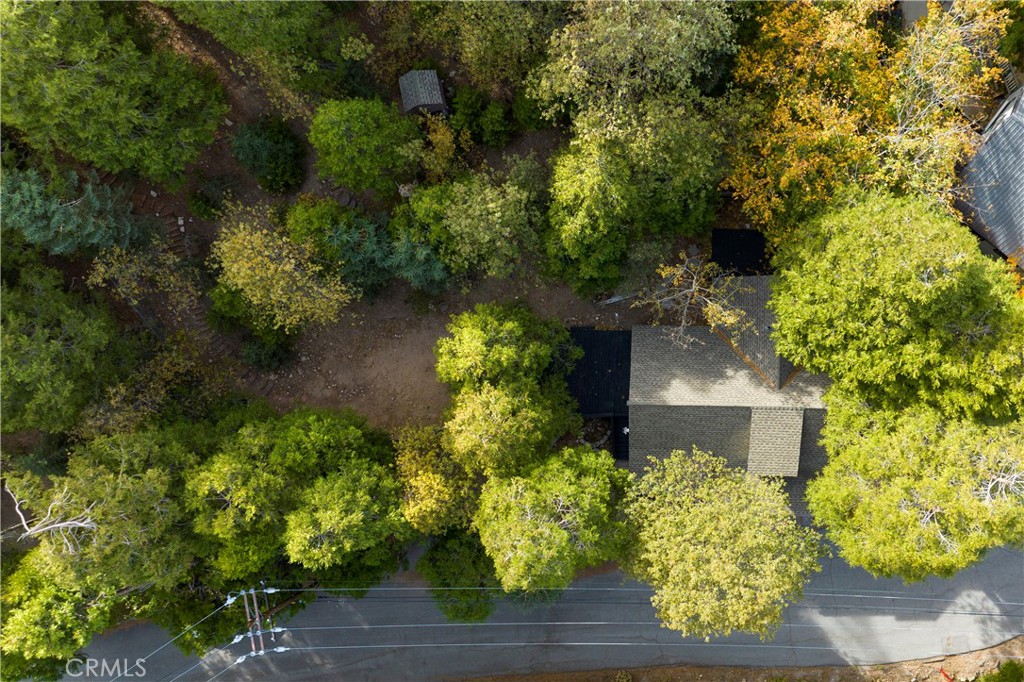 MLS #SW25136757 image #31