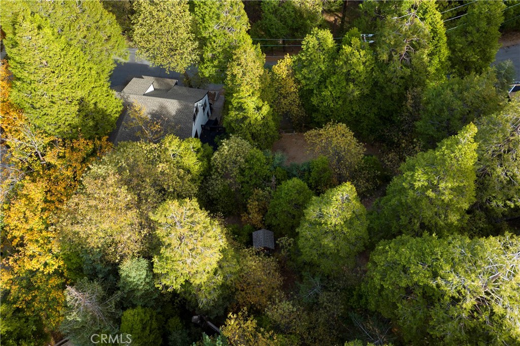 MLS #SW25136757 image #32