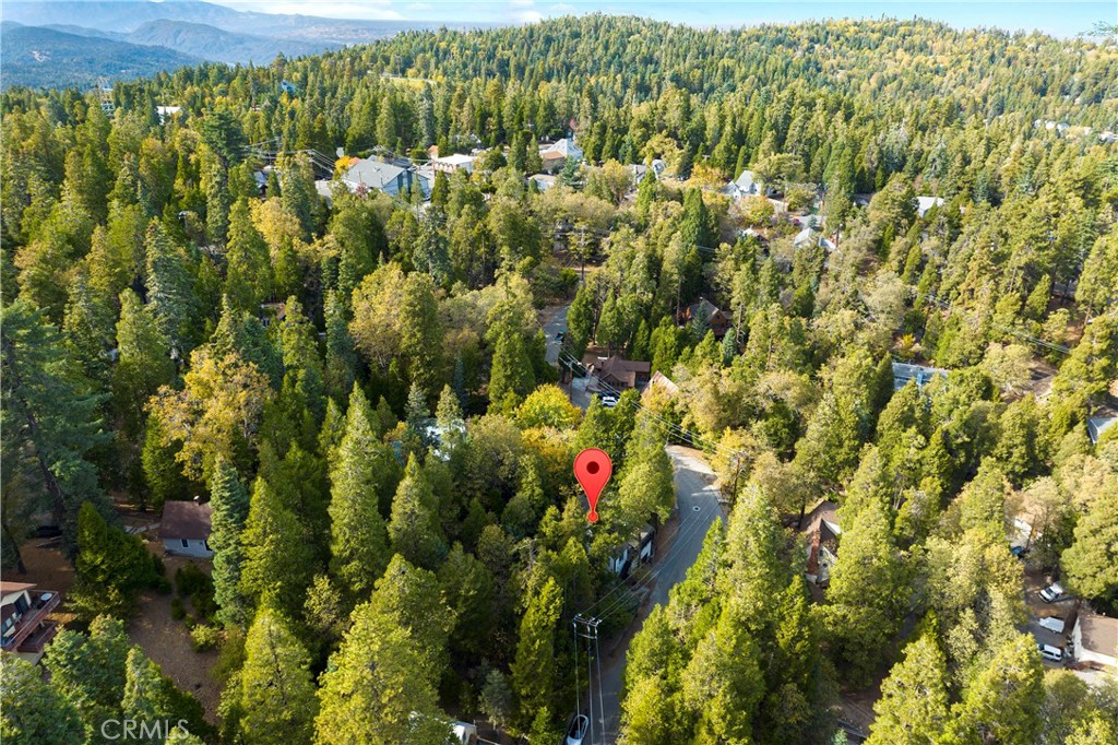 MLS #SW25136757 image #33