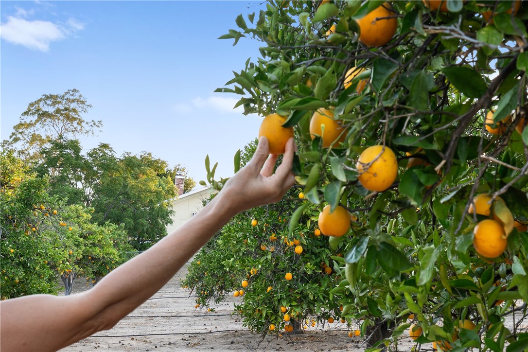 MLS #SW25137203 image #32