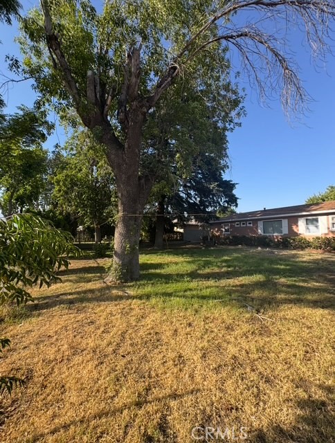 MLS #SW25138089 image #4