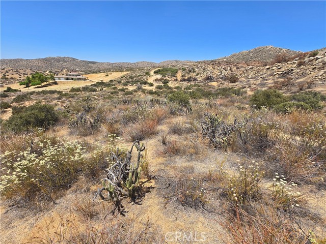 MLS #SW25138194 image #10