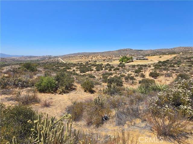 MLS #SW25138194 image #11