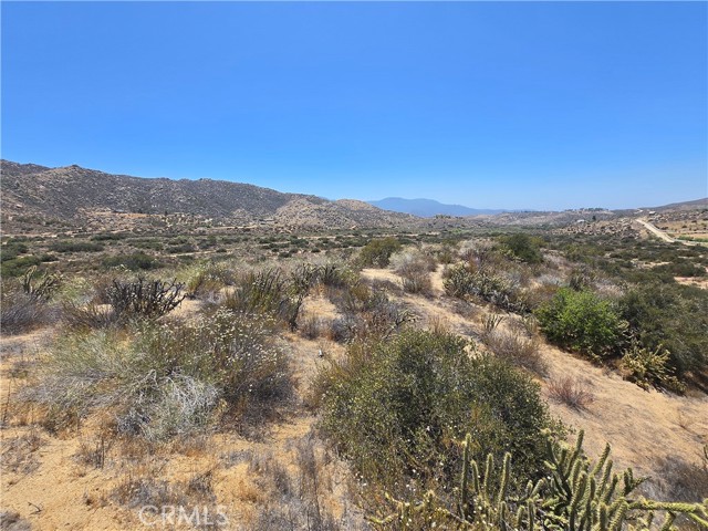 MLS #SW25138194 image #12