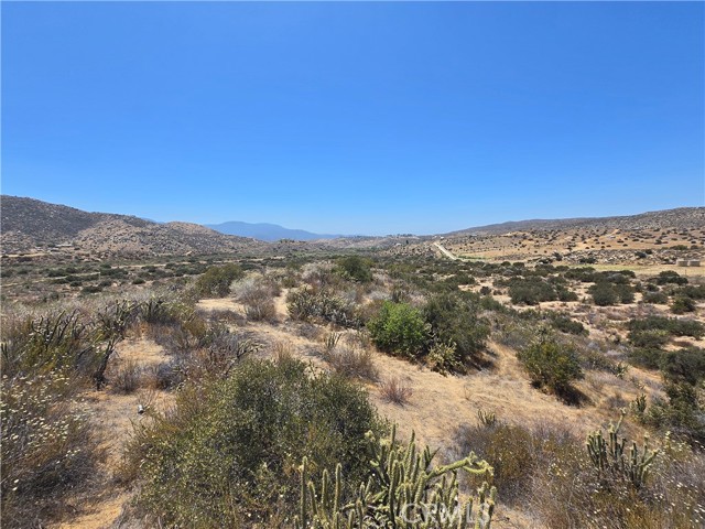 MLS #SW25138194 image #13