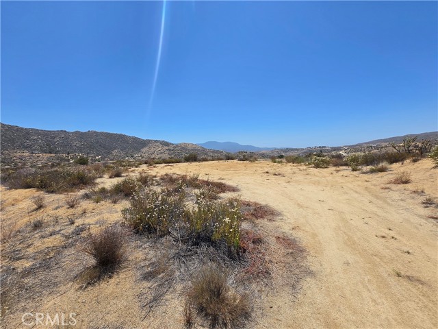 MLS #SW25138194 image #5