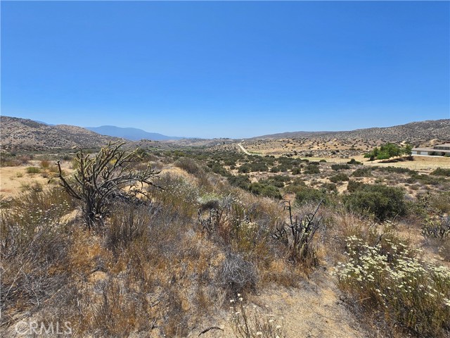 MLS #SW25138194 image #7