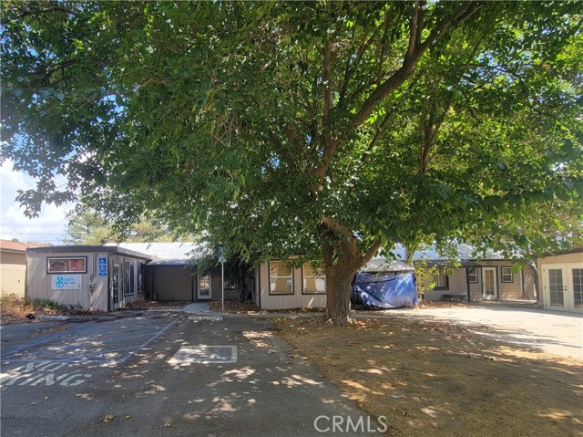 MLS #SW25140555 image #5