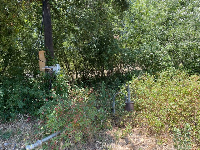 MLS #SW25142307 image #24