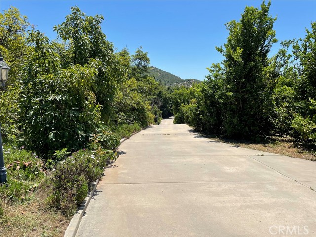 MLS #SW25142307 image #27