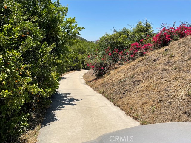 MLS #SW25142307 image #28