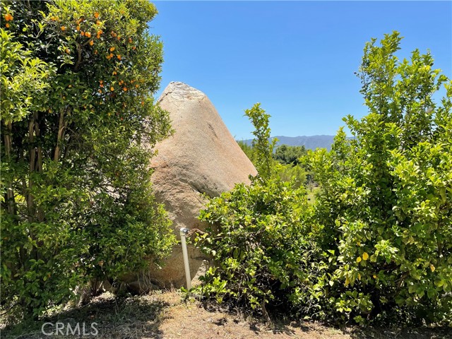 MLS #SW25142307 image #29