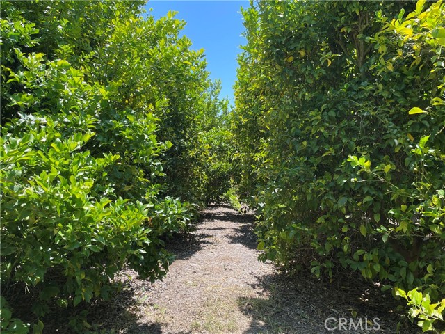 MLS #SW25142307 image #31