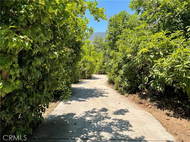 MLS #SW25142307 image #32