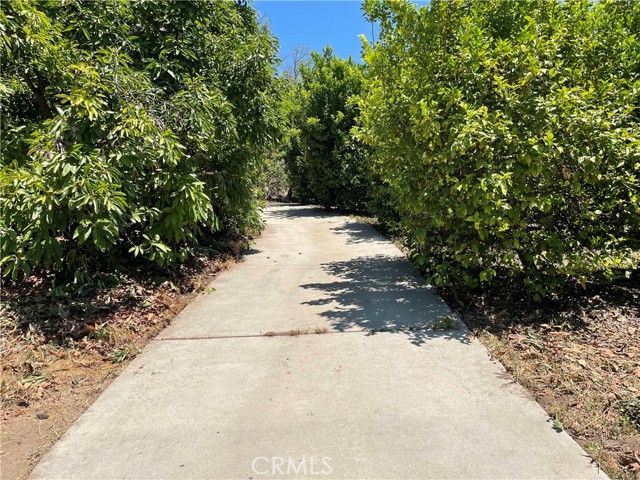 MLS #SW25142307 image #34