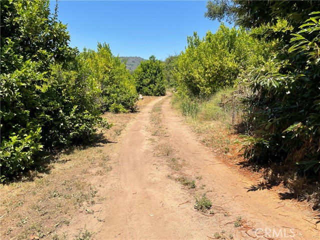 MLS #SW25142307 image #35