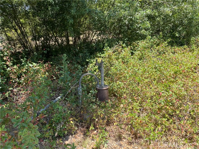 MLS #SW25142307 image #37